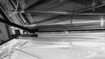 DSCF5676.jpg